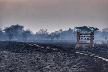 Las llamas azotan la Reserva Yerbalito, en Iberá, Corrientes