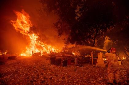 Las llamas en el bosque Mendocino Complex alcanzaron las 114.800 hectáreas