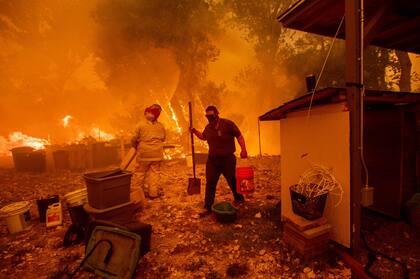 Las llamas en el bosque Mendocino Complex alcanzaron las 114.800 hectáreas