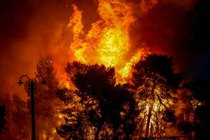 Grecia: acorraladas por las llamas, 26 personas murieron abrazadas entre sí