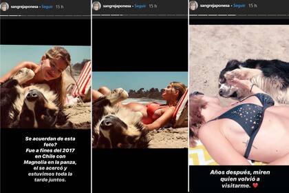 Las llamativas historias que compartió La China Suárez en su Instagram