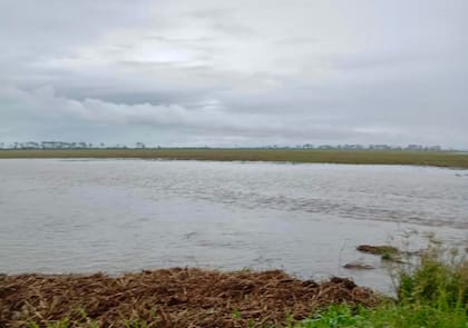 Las lluvias acumuladas en las últimas semanas saturaron los suelos y provocaron anegamientos en distintas zonas rurales de Tucumán