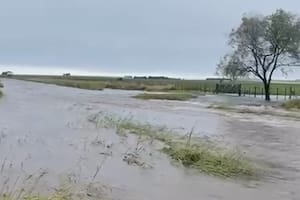 Los pronósticos anticipan la vuelta de El Niño y un experto le puso fecha