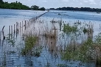 Las lluvias extraordinarias complicaron la producción con registros que en algunas localidades superaron los 2800 mm anuales