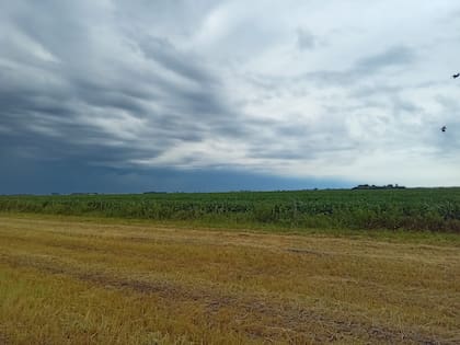 Las lluvias llegaron a algunas zonas de la región núcleo, pero el alivio todavía es parcial y muy desigual.