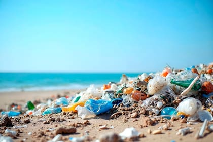 Las lluvias recientes arrastraron residuos al océano y elevaron la carga bacteriana