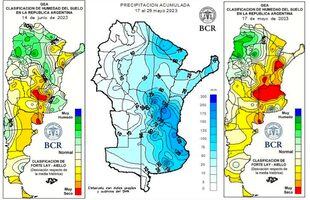 Las lluvias salvaron la siembra argentina de una caída abrupta