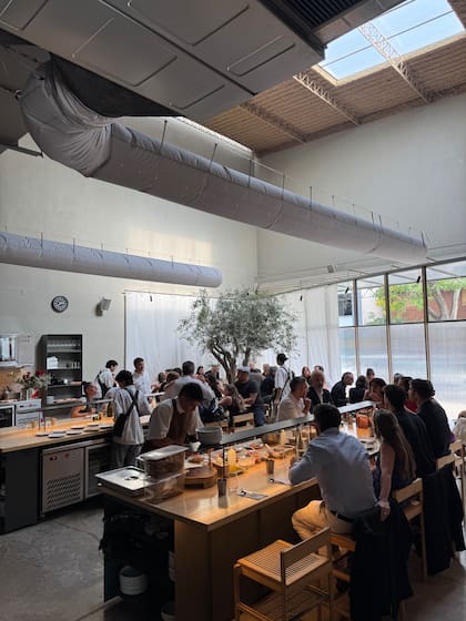 Las lucarnas -una rectangular en el techo y una línea que recorre todo el perímetro de la terraza, como una canaleta- fue una acertada decisión para iluminar el espacio y darle al árbol el sol que necesita.