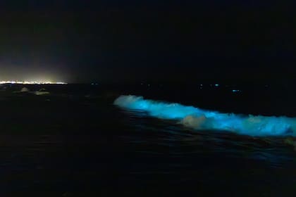 Las luces fosforescentes se hacen visibles cuando el agua se mueve de manera brusca, en la rompientes de las olas o cuando las personas ingresan al mar