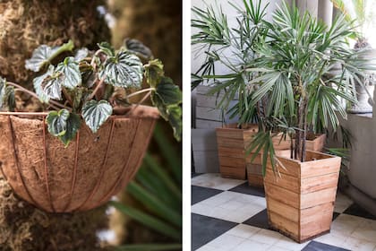 Las macetas de fibra de coco o madera son una opción para evitar el plástico y generar un ambiente más coherente