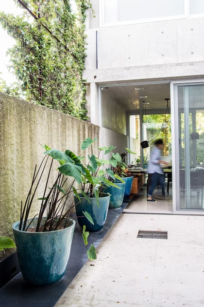 Las macetas pueden ser parte del diseño del lugar, pero recordar que el tamaño deberá estar relacionado con la planta