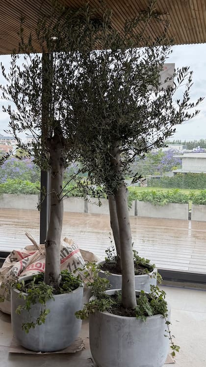 Las macetas que adquirió Wanda Nara para decorar el interior de su casa nueva