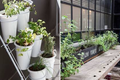 Las macetas y los cajones pequeños son la opción para armar una huerta en balcones o patios.