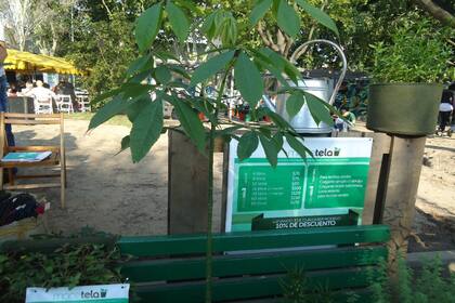 Las Macetelas en exhibición.