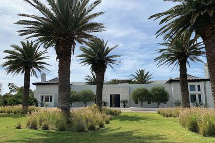Las magníficas Phoenix canariensis dan la bienvenida y acompañan la edificación. A sus pies, los penisetum aflojan la escena.