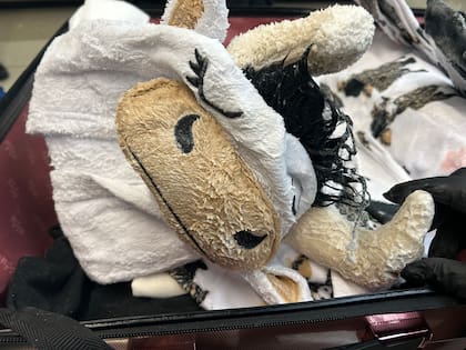 Las maletas de Matharu contenían más de una docena de prendas, incluyendo un pijama de vaca, todas impregnadas con metanfetamina