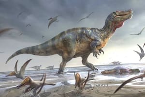 Cuáles fueron los últimos dinosaurios europeos