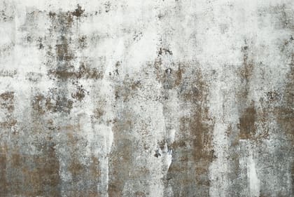 Las manchas de moho en las paredes no solo son un problema estético, sino también de salubridad