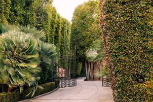 Las mansiones tienen muros verdes altísimos y con variedades de plantas que suma muchísimo a la decoración y elegancia de las casas