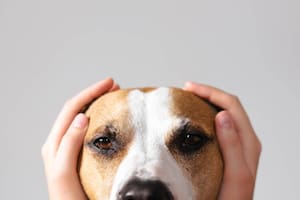 Menos pirotecnia, más empatía