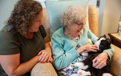 Las mascotas robóticas buscan brindar compañía y estímulo emocional a personas mayores, sin requerir cuidados ni mantenimiento