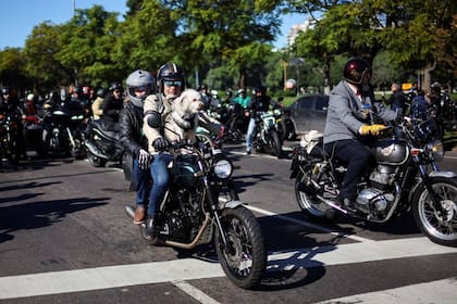 Las mascotas también fueron bienvenidas en la carrera