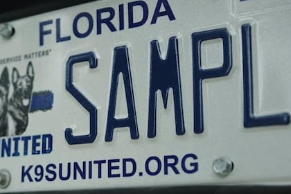 Las matrículas de Florida podrían tener un giro radical desde julio