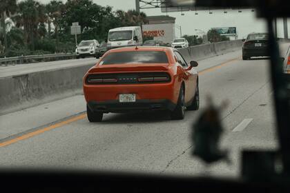 Las matrículas estándar actuales tienen un diseño de dos naranjas y la flor de naranjo