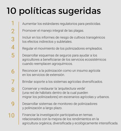 Las medidas sugeridas para salvar a las abejas