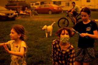 En fotos. Las impresionantes imágenes de los premios World Press Photo 2020