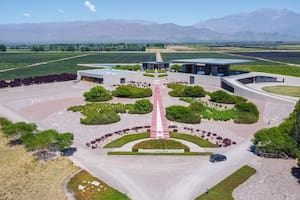 Ruta del vino: 8 propuestas imperdibles en Mendoza
