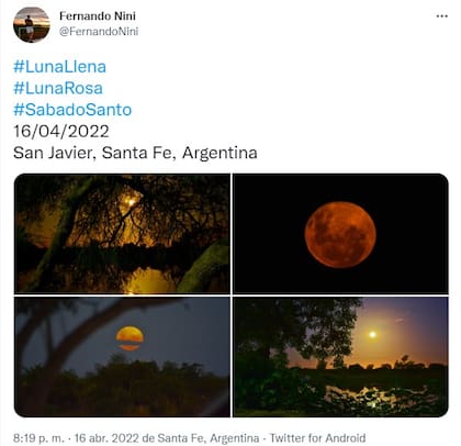 Las mejores postales de la Luna rosa de los usuarios en Twitter (Foto: Twitter)