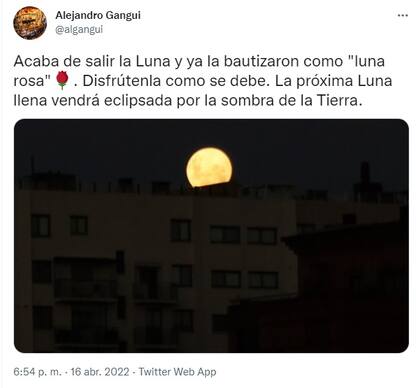 Las mejores postales de la Luna rosa de los usuarios en Twitter (Foto: Twitter)