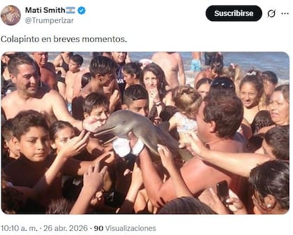 Melhores reações do road show Colapinto