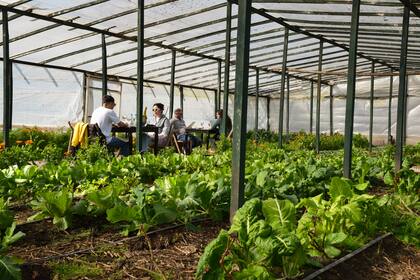 Las mesas al lado de la huerta en Coronillo