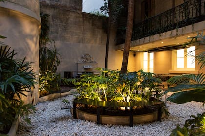 Las mesas miran hacia el patio, repleto de plantas