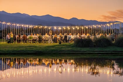 Las mesas se pueden colocar junto a los viñedos