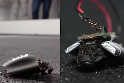 Las mochilas pueden llevar cámaras, micrófonos y radares Doppler en pocos gramos