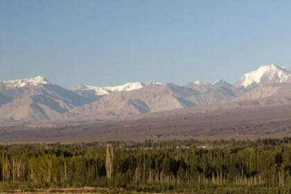 Las momias habían sido halladas en las cuevas de Calingasta, en los Andes