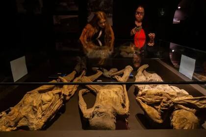 Las momias han sido exhibidas alrededor de México y en otras partes del mundo