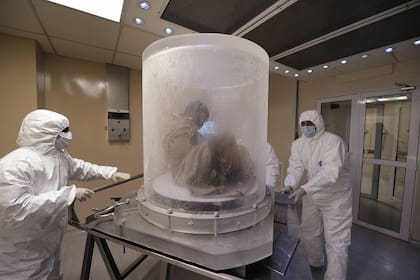 Las momias se mantienen en un ambiente con humedad del 45 por ciento