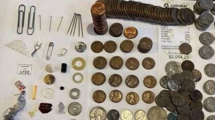 Las monedas encontradas en el botellón (Foto:
Reddit @Crimsonkitsune333)