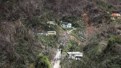 Las montañas alrededor de Adjuntas quedaron devastadas después del huracán María en 2017