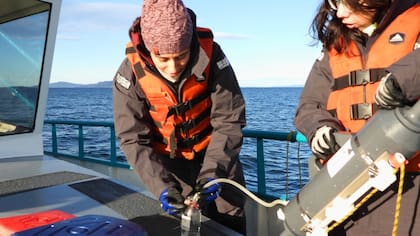 “Fundamental para el éxito”: una investigación del Conicet en las aguas del fin del mundo anticipa una revolución productiva - Image 3
