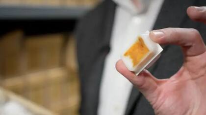 Las muestras se almacenan en cera para su preservación