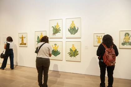 Las mujeres creadas por Paulino brotan de bromelias, con raíces y flores unidas a sus cuerpos