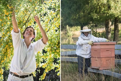 Las mujeres del grupo se encargan de la apicultura, de los animales, de las huertas y las cosechas. Con la introducción de las colmenas ya no es necesario polinizar las cucurbitáceas, trabajo que antes hacían a mano.