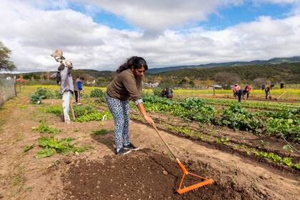 Las mujeres desempeñan un papel clave para la alimentación
