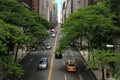 Las multas para quienes incumplan las normas de tránsito en el estado de Nueva York / Unsplash