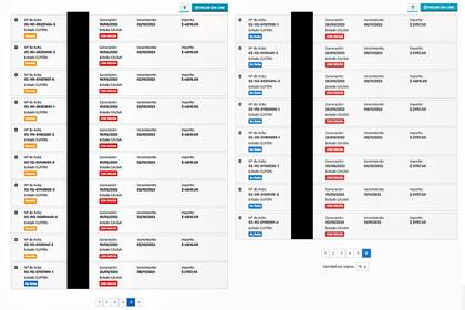 Las multas que adeuda Sofía Clérici en la provincia de Buenos Aires
